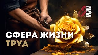 Сферы жизни: Труд. Чем работа отличается от труда?