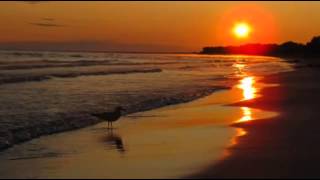 Richard Clayderman  Romeo and Juliet - YouTube_2