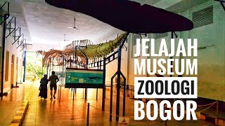 Jelajah Museum Zoologi Bogor