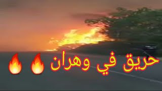 شاهد نشوب حريق مهول في غابة مداغ بوهران 😲😲