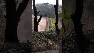 GWR 150 2xx and 150 2xx approach Dawlish 08/04/23