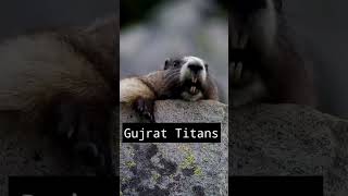 Tag Gujrat Titans #gujrattitans #shorts