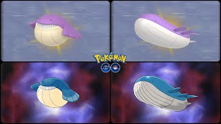 Pokemon Go: Evolving Shiny & Shadow Wailmer into Wailord