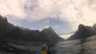 New Zealand 2015 - Milford Sound Kayaking