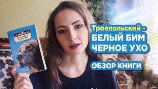 Белый Бим Черное ухо обзор книги