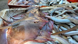 HAINAN FISH MARKET PART 2 #livinginchina #china #chongqing #hainan