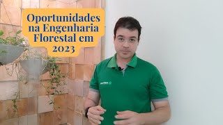 Oportunidades na Engenharia Florestal em 2023