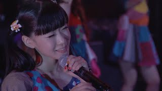 BiS解散LIVE 「BiSなりの武道館」- スプリットブレインシンドローム