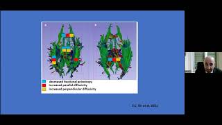 WEBINAR AIP 24/11/2022 - Demenze vascolari… a volte ritornano