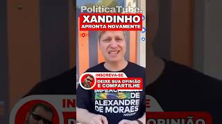 ✂️Xandinho  voltou a APRONTAR novamente 🫡#marcel #moraes #elonmusk #twitter #viralshorts