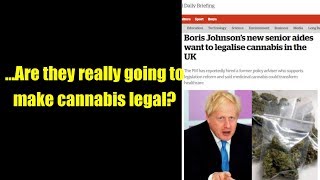 ...Are they really going to make cannabis legal?