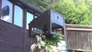 Let's Open A Great Tit Nest Box Up And See What's Inside....