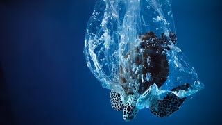 Dia Mundial de los Océanos 2023, Planeta oceánico: las corrientes están cambiando