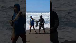 Pagi hari menjaring ikan di Pantai Goa Cemara #jaringikan #pantaigoacemara #pantai #shortsvideo