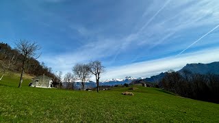 MTB Cima di Tisa - San Patrizio 17.03.2024