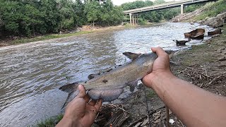 Bank fishing a river for whatever bites