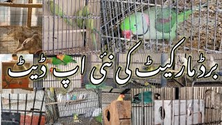 Ali Bhai Shop Visit Los Road Birds Market Lahore 2023