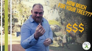 HOW MUCH WILL MY TREE COST TO BE REMOVED? SHANE'S TREES FAQ#1