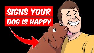 10 Signs Your Dog Is Very Happy And Healthy