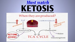 Ketone body formation || Keto diet || Ketolysis || DKA || Acetone || #Biochemistry