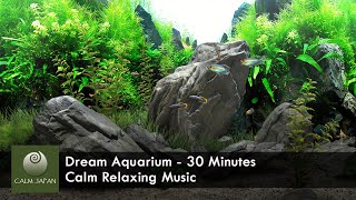 Dream Aquarium - 30 Minutes - Relaxation, Meditation and Sleep Music