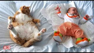 10 Things We All Hate About Photos Show Cats And Babies Are Best Friends