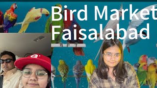 BIRDS MARKET FAISALABAD | Mor Khul Gaya 😱 #funny #Birds #cat #Viral #fatherdaughter