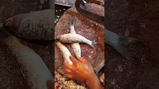 amazing fish BATA Cutting | in dawdi Mahesh fish Shop 🐠#short #shorts #fish #fishing #youtubeshorts