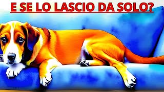 I cani perfetti per chi è spesso fuori casa: ecco le 10 razze ideali