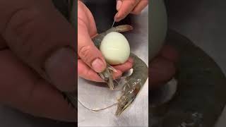 YUMMY FOOD COMPILATION 🦐🥚🦐| #shorts |#hungry_bsk