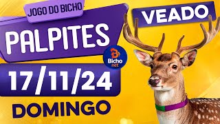 PALPITE DO DIA 17/11/2024 - JOGO DO BICHO 🍀 TODAS AS LOTERIAS 🍀