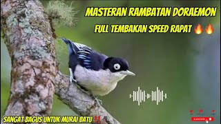 MASTERAN RAMBATAN DORAEMON FULL TEMBAKAN SPEED RAPAT 🔥🔥#rambatandoraemon #rambatanparuhmerah