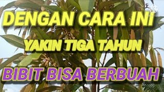 CARA GAMPANG MENGEMBANGKAN BIBIT DURIAN