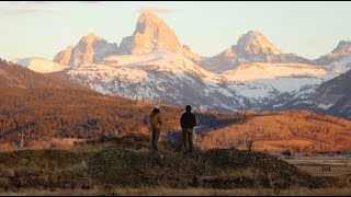 The Teton Cabin Build // Teaser Trailer