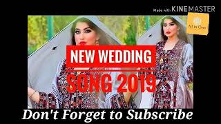 New Latest Omani Balochi Wedding Song 2019  (Fatima Sweety)