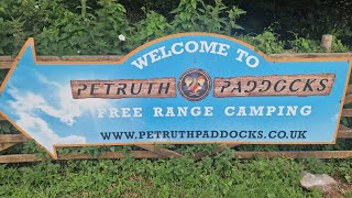 Petruth Paddocks Campsite Review