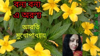 বন্য বন্য এ অরণ্যBanya Banya E Aranya#adhunik #aratimukherjee #trendingvideo @SongofMadhumita62