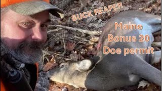 Maine Bonus 20 Doe hunt ! - Buck Reaper