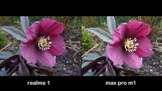 Oppo Realme 1 Vs Asus Zenfone Max Pro M1 Camera Test