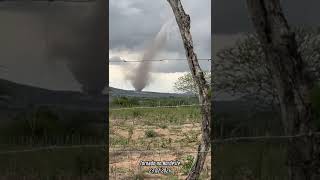 🌀Impressionante😱 TORNADO provoca estragos e assusta moradores de Estrela de Alagoas!22.02.2023(4)