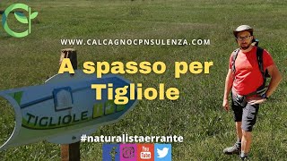 Passeggiate naturalistiche e incontri- #naturalistaerrante