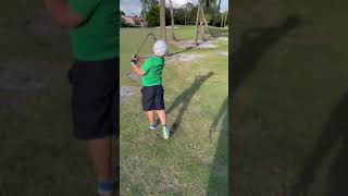 7 year old shot through palm trees