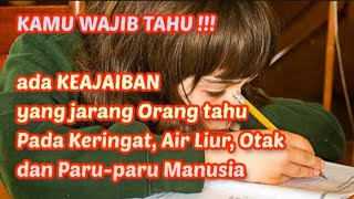 KAMU HARUS TAHU KEAJAIBAN APA SAJA YANG ADA PADA KERINGAT, AIR LIUR, OTAK DAN PARU-PARU MANUSIA !!!?