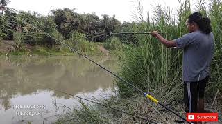 cara memancing udang galah