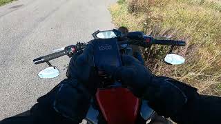 Tree in the road? #motovlog