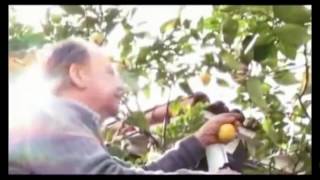 El Otro Surco; Reflexión: Soberanía alimentaria y agricultur perdidas. Documental.