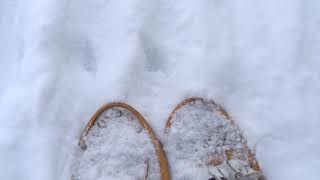 Turkey Point Snowshoeing