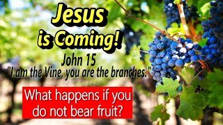 Jesus is Coming  What happens if you don't bear fruit  John 15