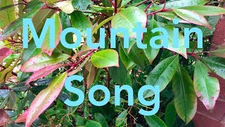 Mountain Song - Flute and Piano Duet