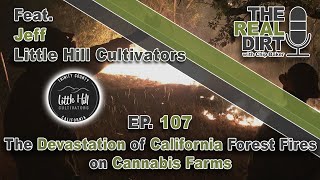 The DEVASTATION of the California Forest Fires on Cannabis Farms